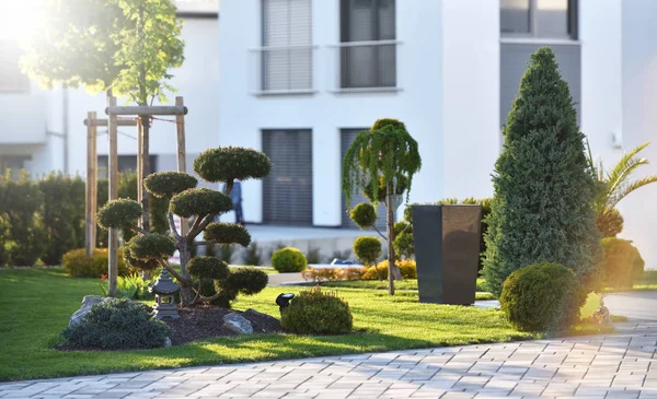 Smuk Moderne Blomsterbed Med Nålebuske Bonsai Træ Baggrund Moderne Hus - Stock-foto