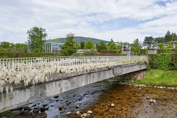 Ponte Bianco Ferro Battuto Con Fiori Glicine Fiume Parco Pubblico — Foto Stock