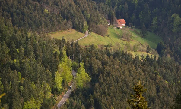 Paisagem Pitoresca Uma Casa Campo Isolada Europeia Uma Floresta Schwarzwald — Fotografia de Stock