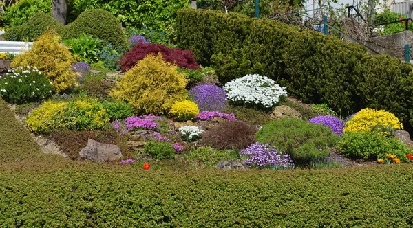 Beautiful Flower Bed Front House Colorful Flowers Bushes — Stock Photo, Image