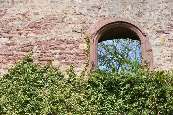 Le mur de château, vieux de blocs de pierre, avec une fenêtre et une usine d'escalade en Allemagne. Mur de château avec espace texte — Photo