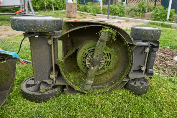 Elektrikli çim biçme makinesi çimleri biçtikten sonra hepsi yeşil çimlerde.