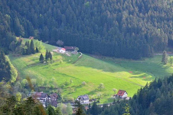 Pittoreska Europeiska Landskap Dal Med Byar Och Hus Bergen Schwarzwald — Stockfoto