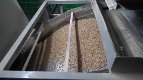 Pet food production. Feed pours on conveyor belt, close-up — Stock Video