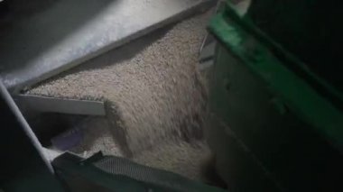 Evcil hayvan besin üretimi. Taşıyıcı bandı besle, yakın plan.