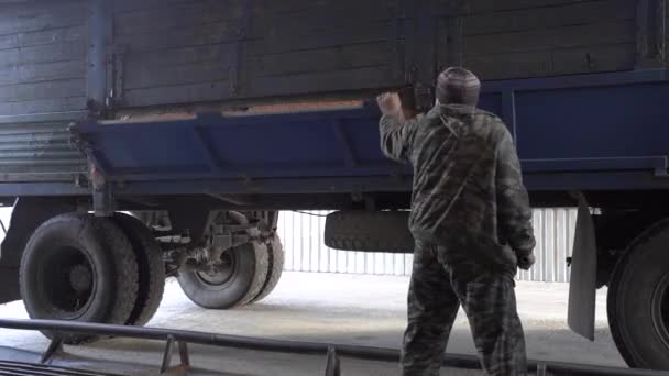 Scarico grano di mais da un camion rimorchio e un sacco di polvere in fabbrica. Agricoltura e concetto di risorse — Video Stock