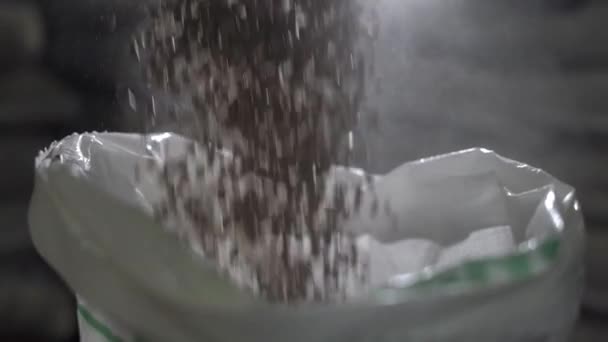 시골 동물들을 위해 축적 된 사료가 백라이트를 받은 채 자루 안으로 떨어진다. 느린 동작 — 비디오