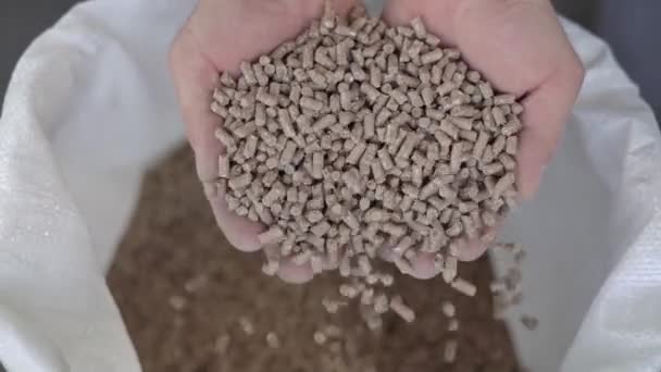 Granulatfoder för lantbruksdjur faller i händerna på en manlig lantbrukare. Långsamma rörelser — Stockvideo