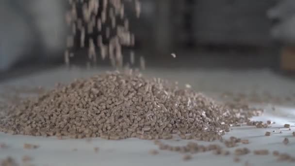 La alimentación de pellets para animales rurales cae de una altura a una pila. Movimiento lento — Vídeo de stock