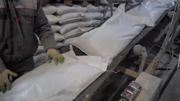 A man puts bags of animal feed on a conveyor belt. A man works at a feed production plant — Stock Video