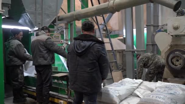Stariy Oskol, Oroszország - 2020. március 4.: Férfiak dolgoznak egy takarmánygyárban és töltik meg a zsákokat termékekkel. — Stock videók