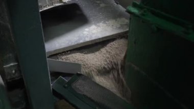 Evcil hayvan besin üretimi. Taşıyıcı bandı besle, yakın plan.