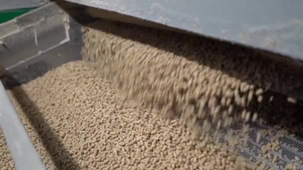 Pet food production. Feed pours on conveyor belt, close-up — Stock Video