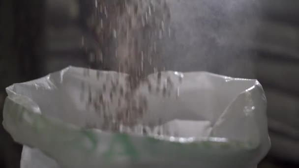 Granulerat foder för lantbruksdjur hamnar i påsen under bakgrundsbelysning. Långsamma rörelser — Stockvideo