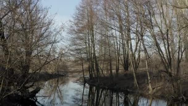 Drone vlucht over de rivier met uitzicht op lentebomen zonder bladeren. — Stockvideo