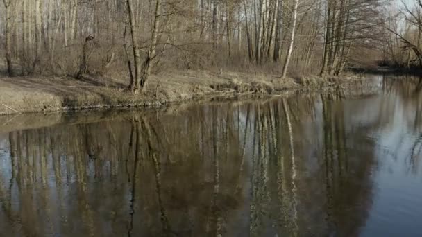 Vol par drone au-dessus de la rivière avec vue sur les arbres de printemps sans feuilles .