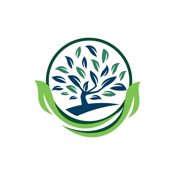 Концептуальный Вектор Дизайна Логотипа Дерева Вдохновение Дизайна Логотипа Дерева — стоковый вектор