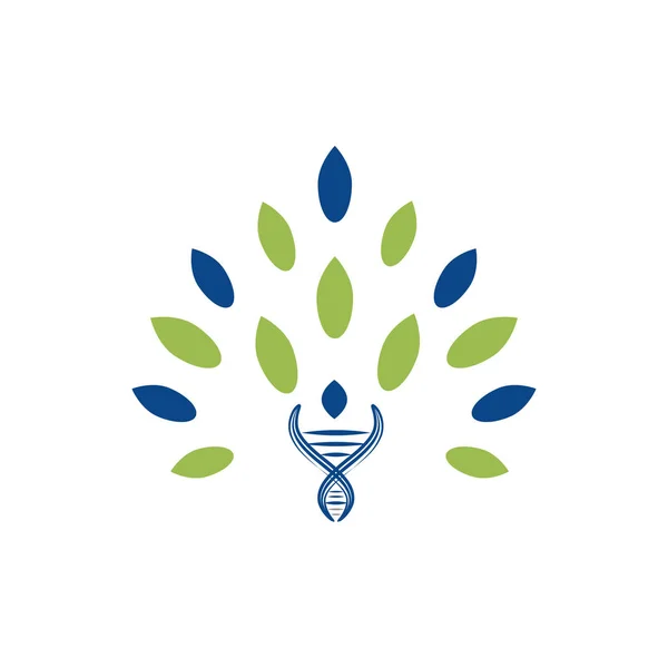 Manusia Alami Dna Dan Desain Logo Genetik - Stok Vektor