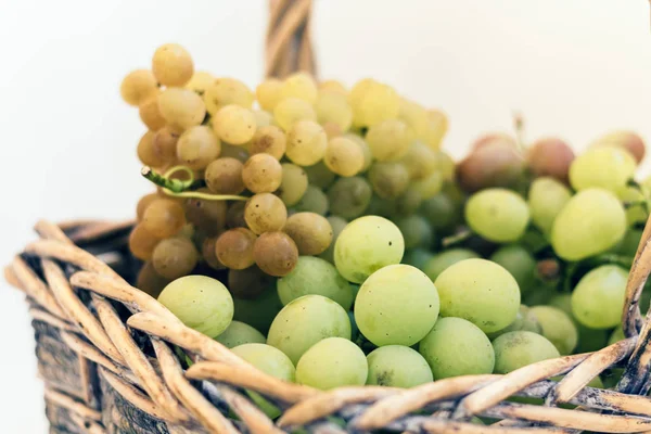 Uvas verdes y azules en una canasta de mimbre sobre fondo blanco, au — Foto de Stock