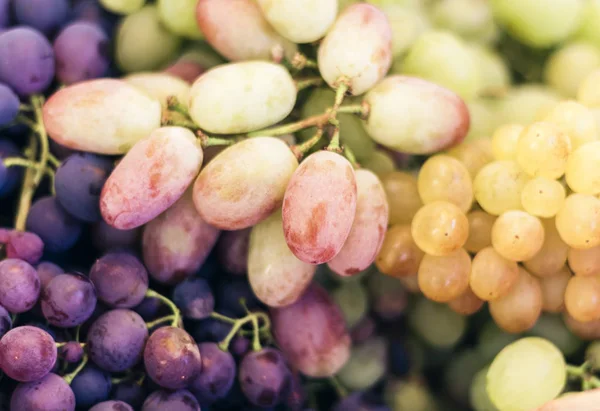 Uvas blancas y azules textura de fondo, cosecha de otoño . — Foto de Stock