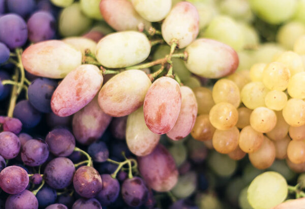 White and blue grapes background texture, autumn harvest.