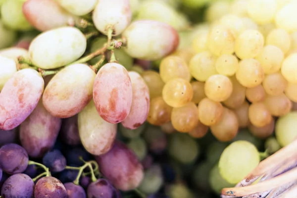 Uvas blancas y azules textura de fondo, cosecha de otoño . — Foto de Stock