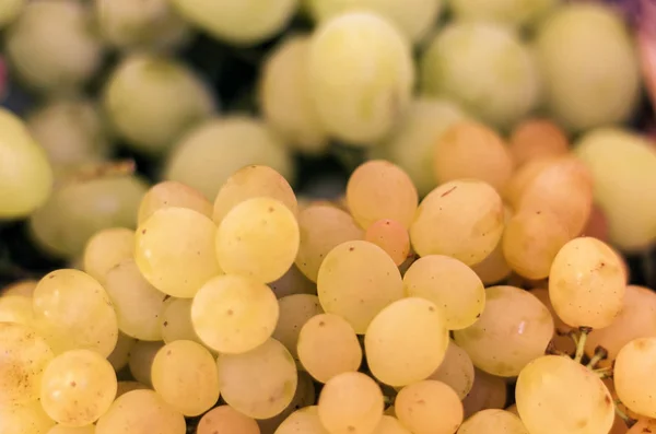 Uvas blancas y azules textura de fondo, cosecha de otoño . — Foto de Stock