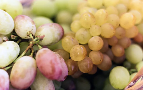 Uvas blancas y azules textura de fondo, cosecha de otoño . — Foto de Stock