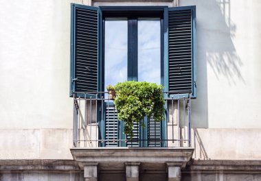 Tarihi bir binada saksıları ve bitkileri olan bir balkon. 