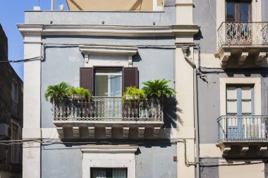 Tarihi bir binada saksıları ve bitkileri olan bir balkon. 