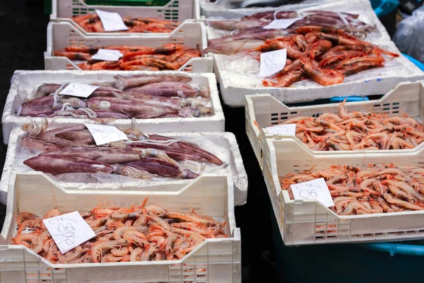 Camarões vermelhos frescos e calamários para venda na marcha de peixe — Fotografia de Stock