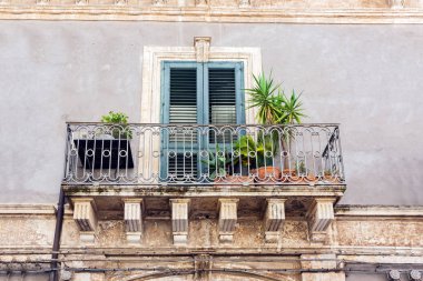 Tarihi bir binada saksıları ve bitkileri olan bir balkon. 