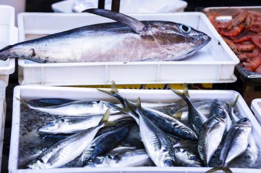 Catania, Sicilya, İtalya 'da balık pazarında taze balık satılıyor.
