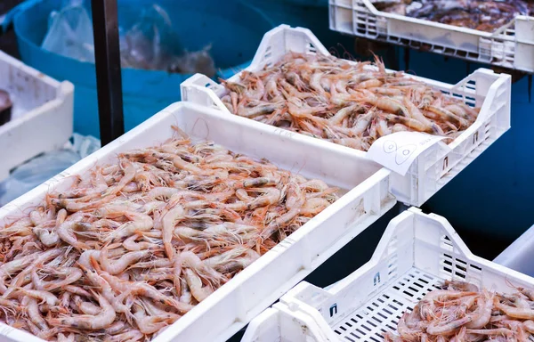 Camarones rojos frescos para la venta en el mercado de pescado de Catania , —  Fotos de Stock