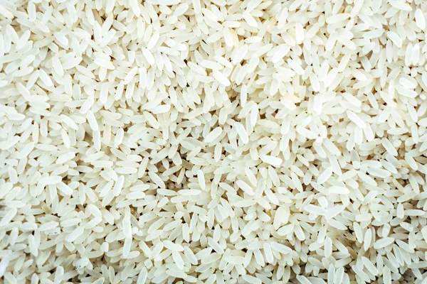 Organisk hvid lang ris baggrund close-up tekstur . - Stock-foto