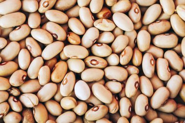 Fasulye arkaplanı (Fhaseolus)\\ sebzeler için besin