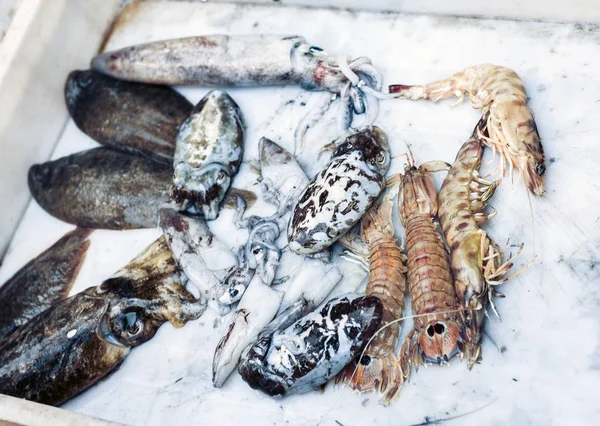 Färsk fisk och skaldjur till salu på fiskmarknaden i Catania, S — Stockfoto