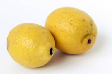 Beyaz arka planda taze limonlar, vejetaryen konsepti..