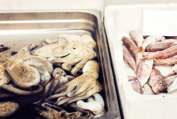 Peixes e mariscos frescos para venda no mercado de peixe de Catania, S — Fotografia de Stock