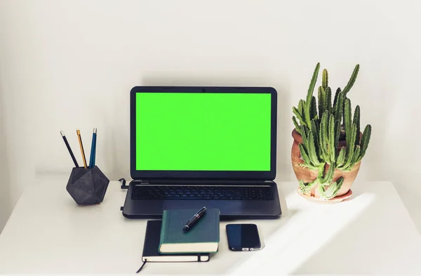 Laptop tela verde, planta de cacto em vaso de barro, livro, notebook, s — Fotografia de Stock