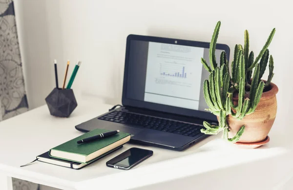 Laptop, stapel boeken, leerboek, cactus plant in klei pot in van — Stockfoto