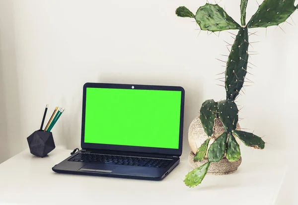 Laptop tela verde e cacto em vaso de barro na mesa branca, educa — Fotografia de Stock