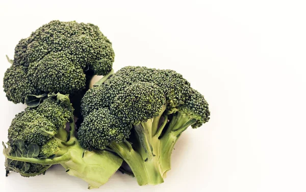 Brokoli segar diisolasi pada latar belakang putih dengan ruang fotokopi . — Stok Foto
