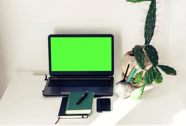 Laptop tela verde, planta de cacto em vaso de barro, livro, notebook, s — Fotografia de Stock