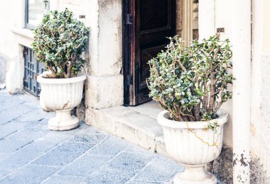 Sicilya 'nın tarihi Taormina caddesinde kil çömleğe bitki ekin.