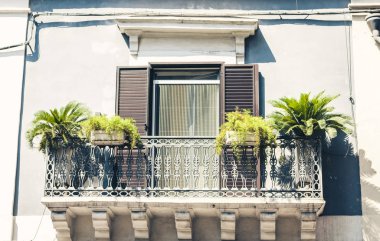 Tarihi bir binada saksıları ve bitkileri olan bir balkon. 