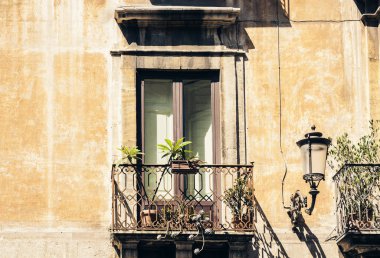 Tarihi bir binada saksıları ve bitkileri olan bir balkon. 