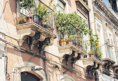 Tarihi bir binada saksıları ve bitkileri olan bir balkon. 