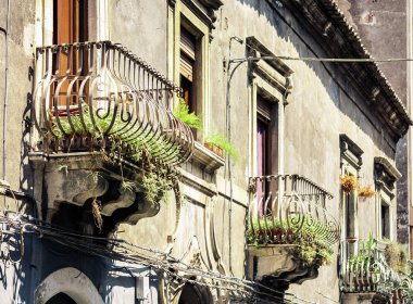 Tarihi bir binada saksıları ve bitkileri olan bir balkon. 