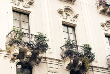 Tarihi bir binada saksıları ve bitkileri olan bir balkon. 